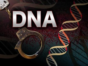 DNA Crime Investigations