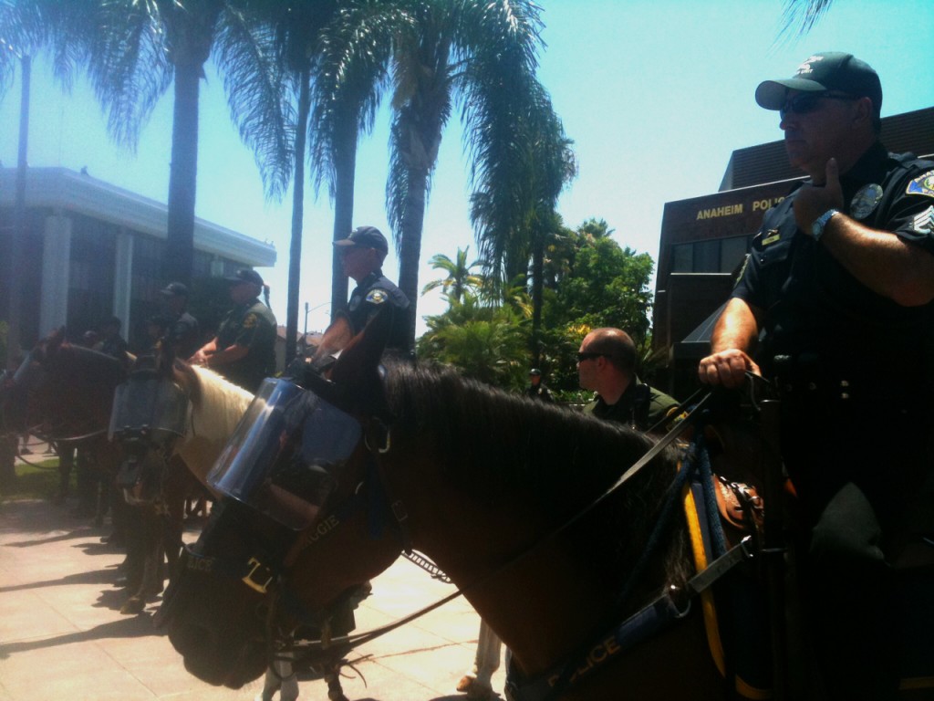 Anaheim PD - horses