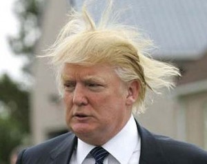 trump hair